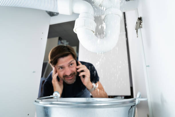 Best Sprinkler Systems  in Lake Isabella, MI