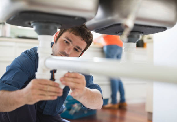 Best Plumbing Inspection Services  in Lake Isabella, MI