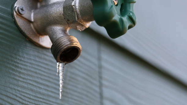 Best Emergency Plumber  in Lake Isabella, MI