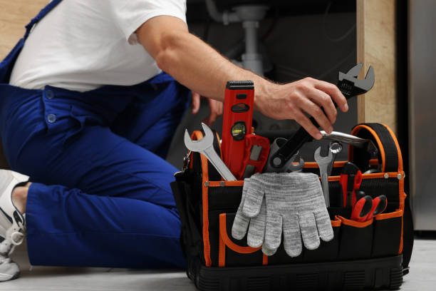 Best Plumbing Repair Near Me  in Lake Isabella, MI